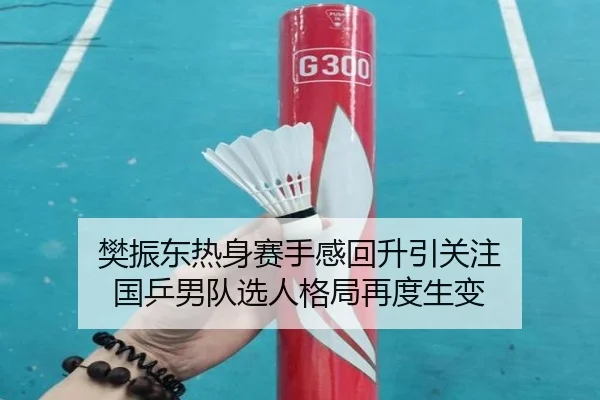 樊振东热身赛手感回升引关注 国乒男队选人格局再度生变